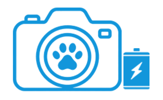Pet Camera